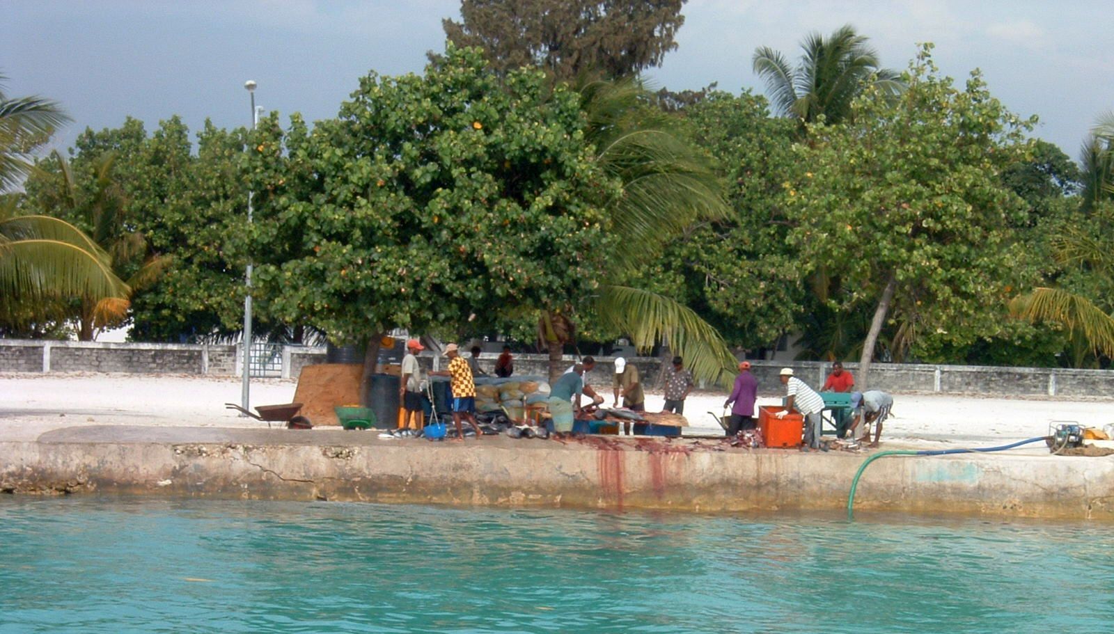 Maldives