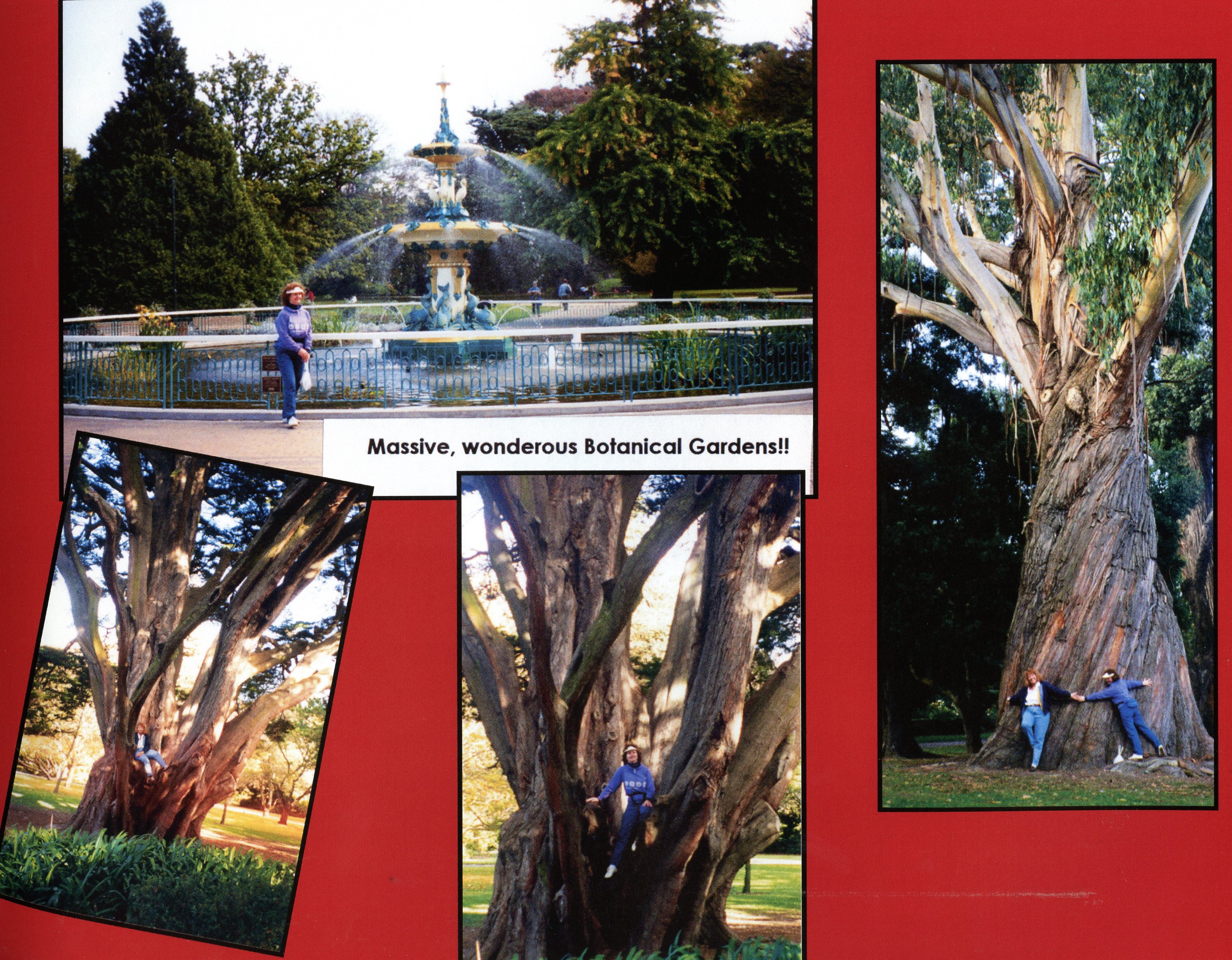 1999 Suzanna Travels to New Zealand