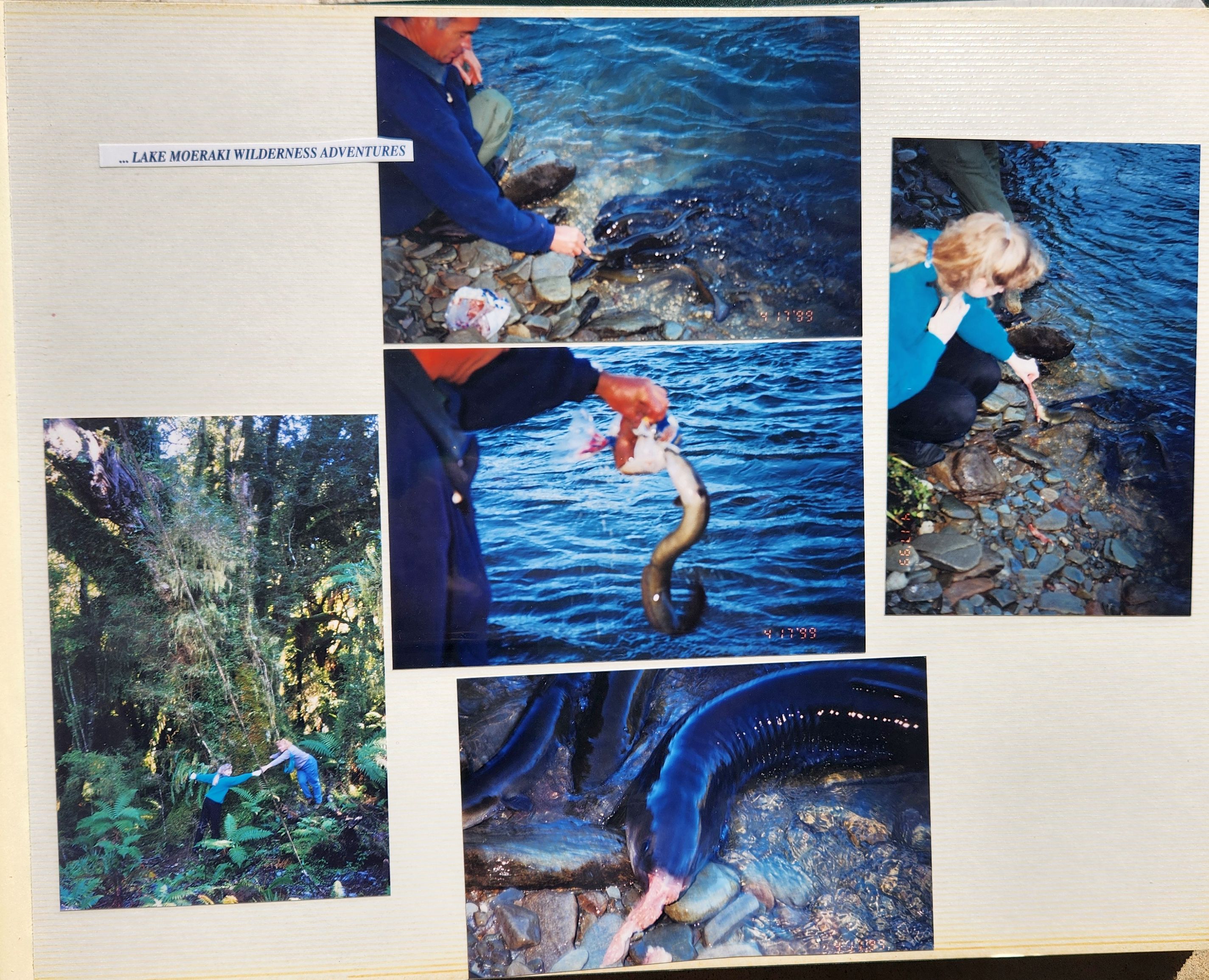 1999 Suzanna Travels to New Zealand