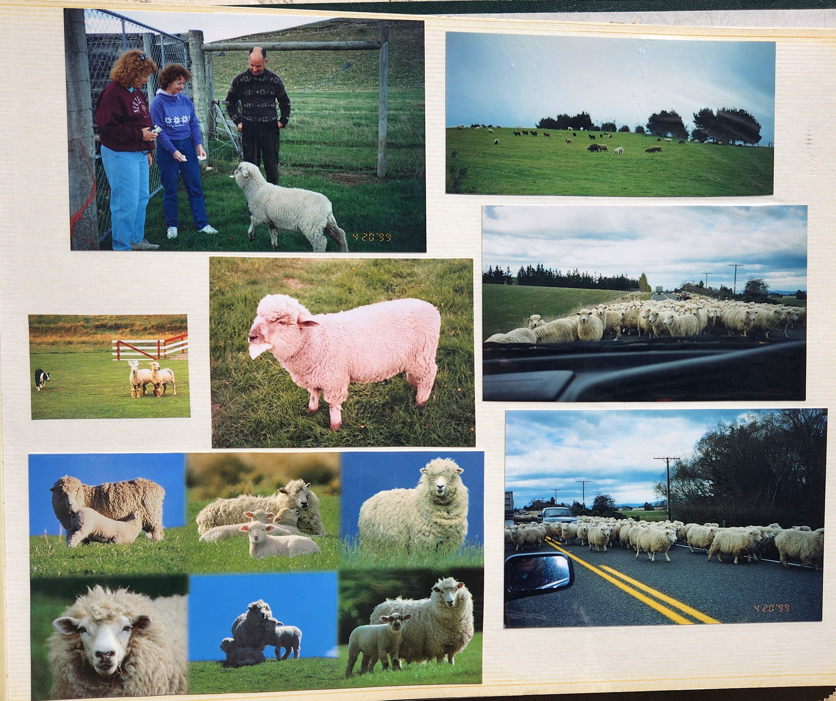 1999 Suzanna Travels to New Zealand