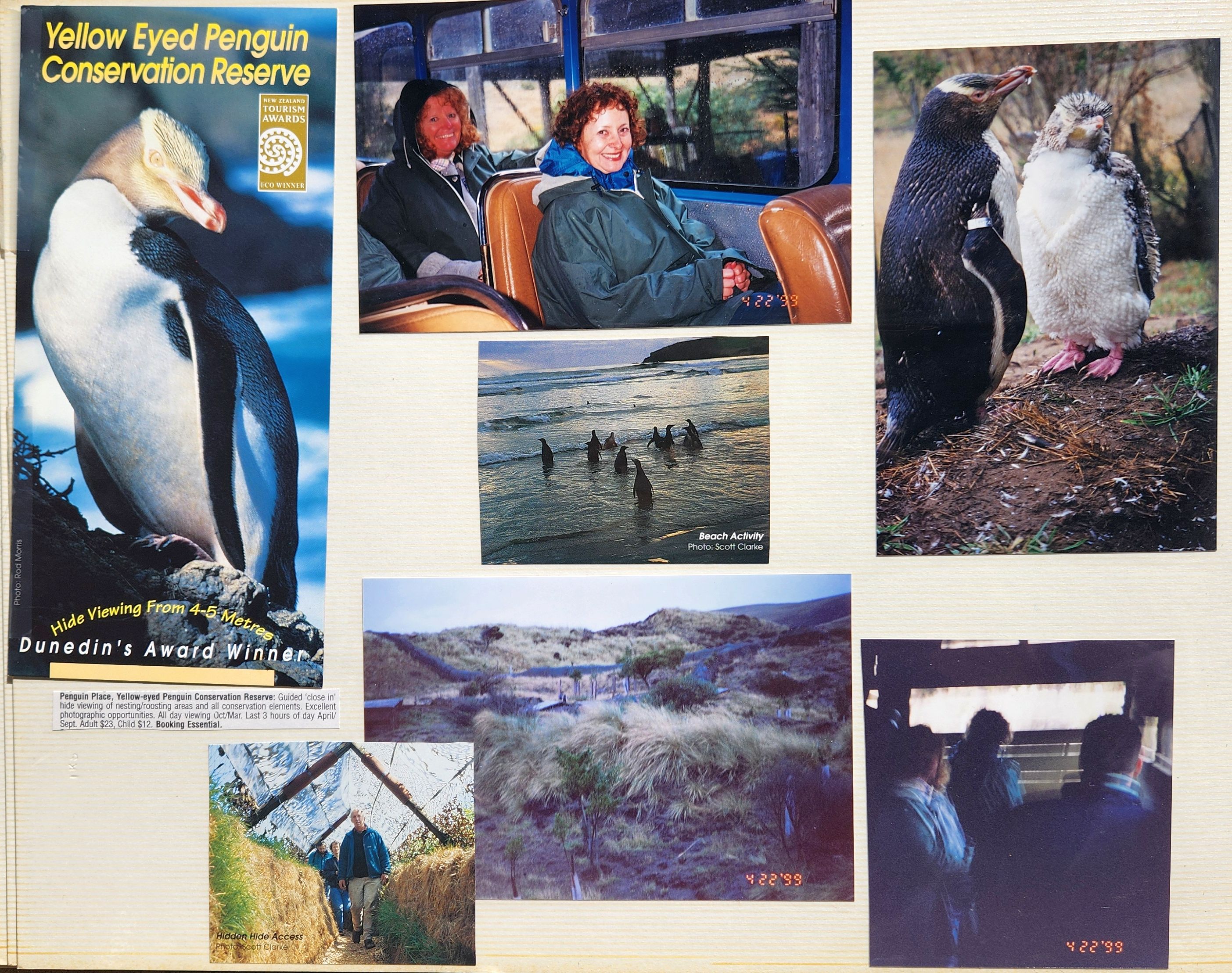 1999 Suzanna Travels to New Zealand