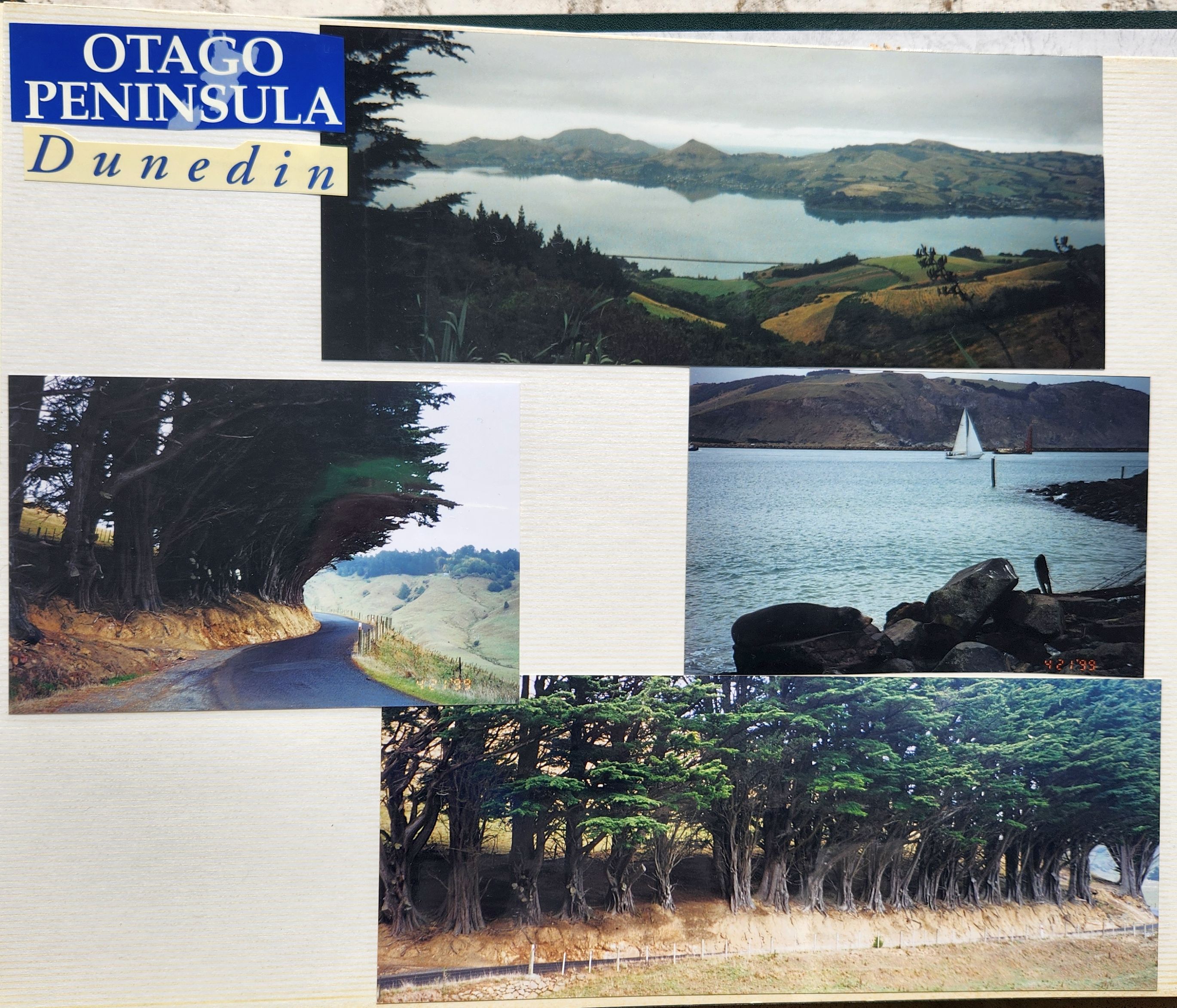 1999 Suzanna Travels to New Zealand