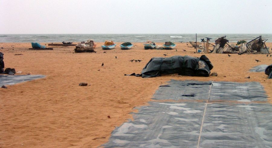 Suzanna Travels to Sri Lanka