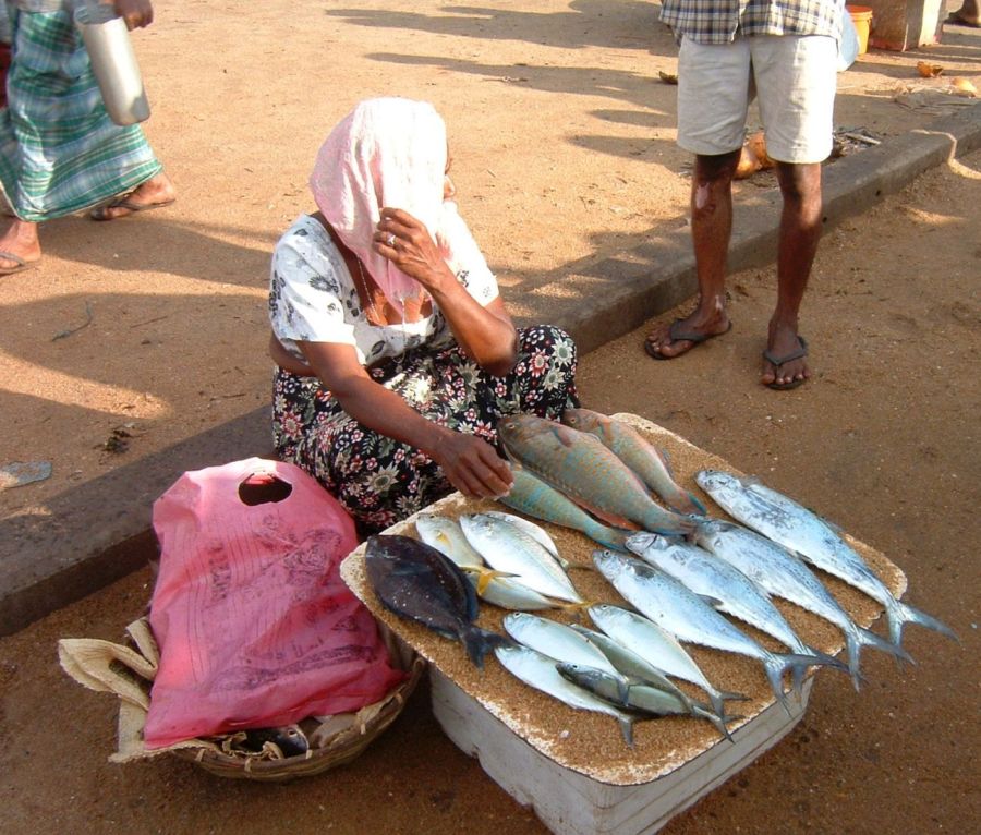 Suzanna Travels to Sri Lanka