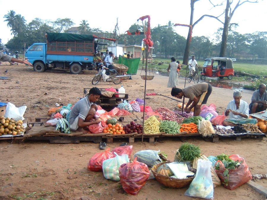 Suzanna Travels to Sri Lanka