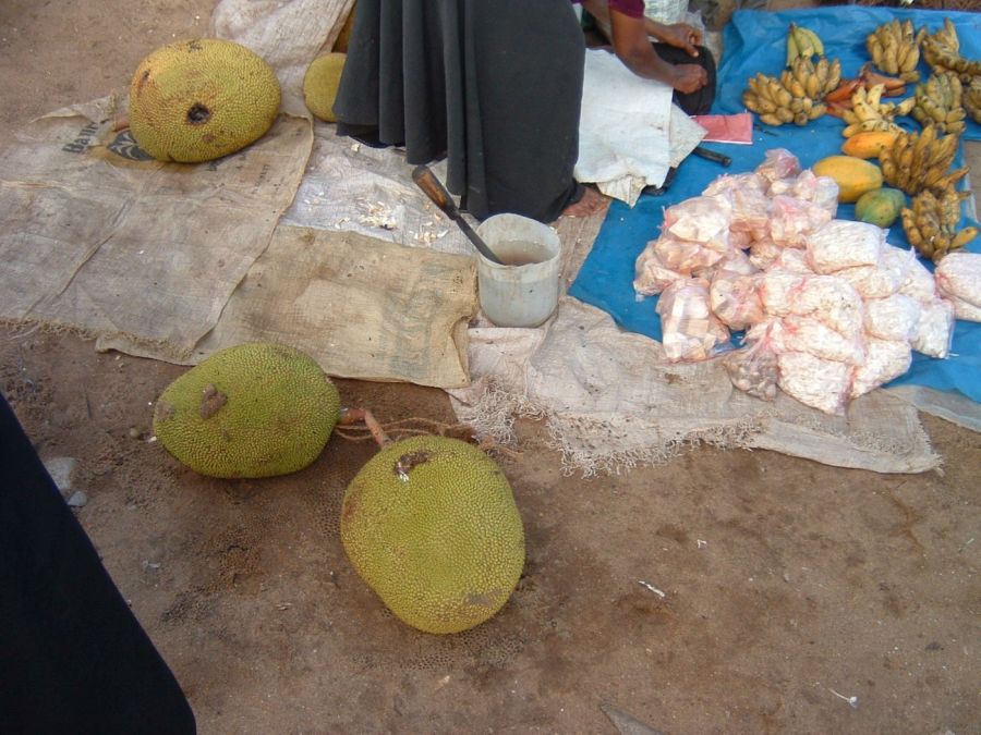 Suzanna Travels to Sri Lanka