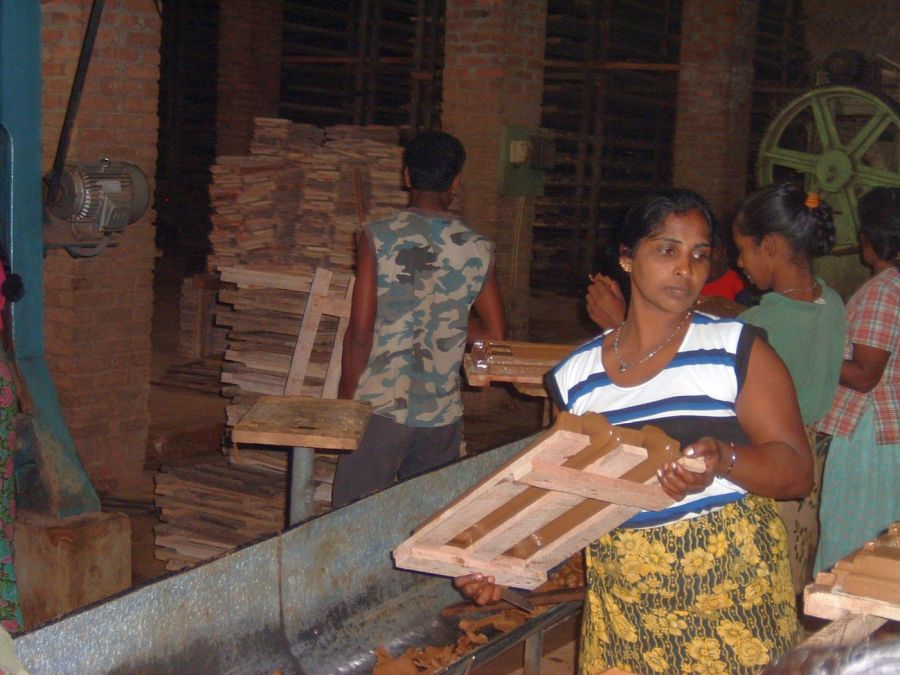 Suzanna Travels to Sri Lanka