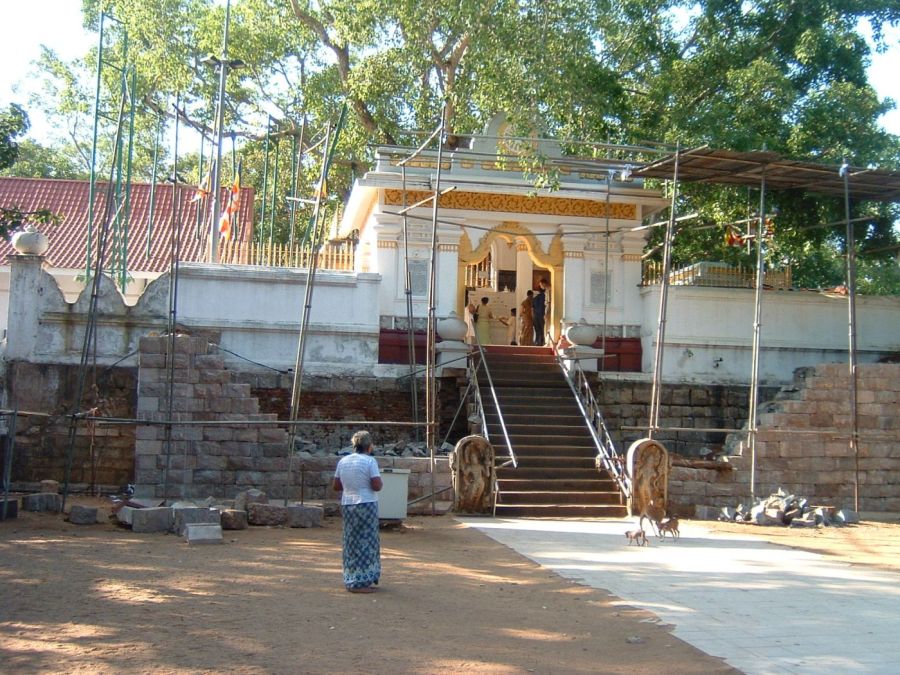 Suzanna Travels to Sri Lanka