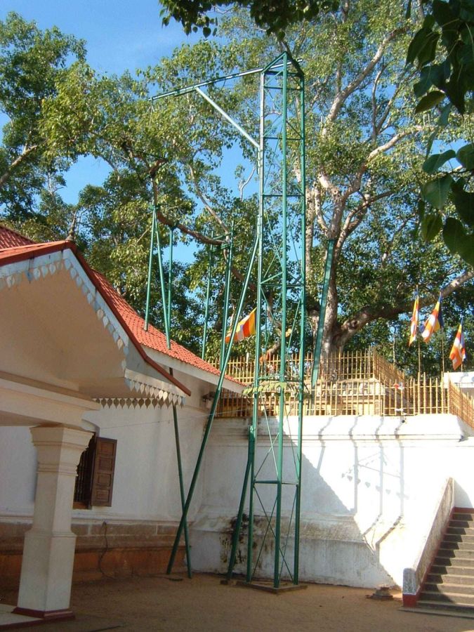 Suzanna Travels to Sri Lanka