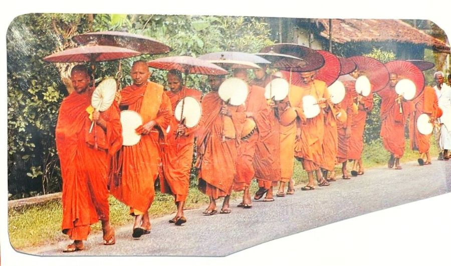 Suzanna Travels to Sri Lanka