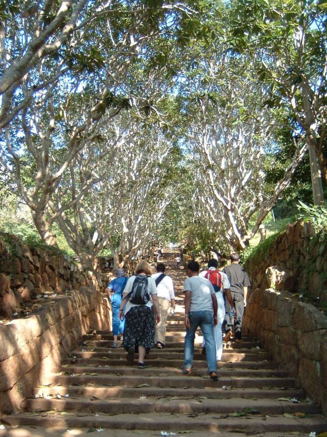 Suzanna Travels to Sri Lanka