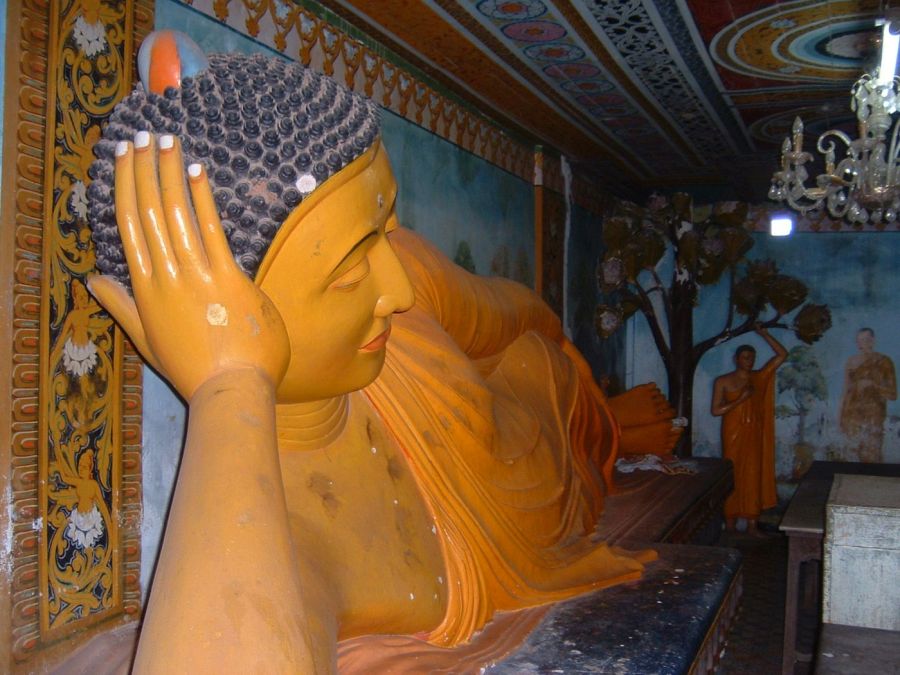 Suzanna Travels to Sri Lanka