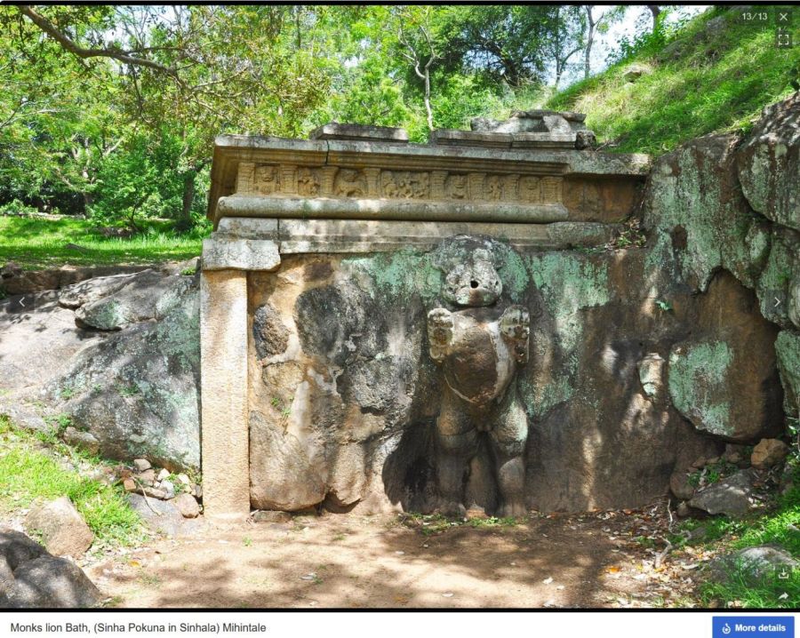 Suzanna Travels to Sri Lanka