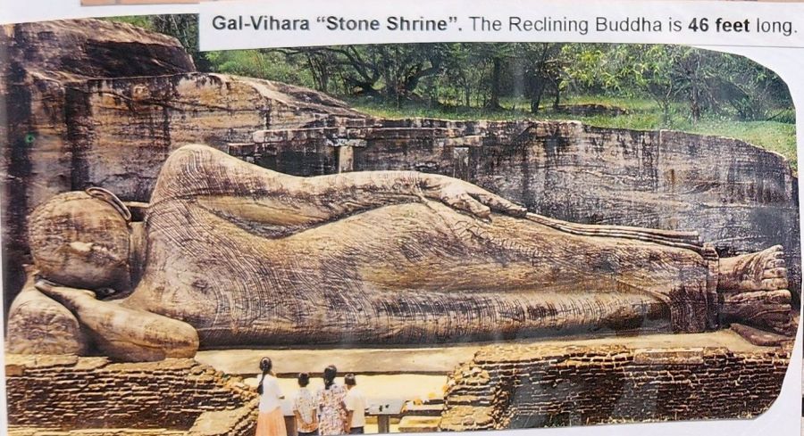 Suzanna Travels to Sri Lanka