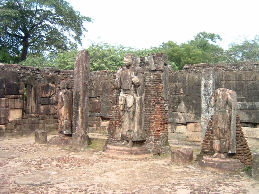 Suzanna Travels to Sri Lanka