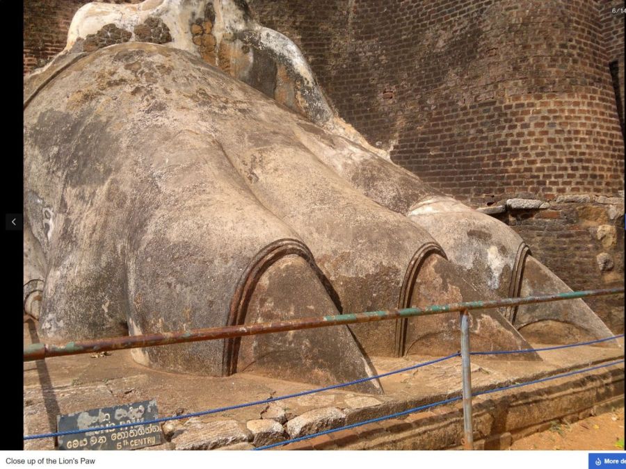 Suzanna Travels to Sri Lanka