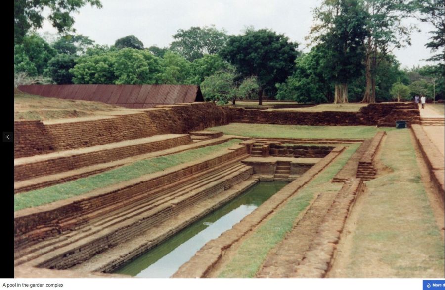 Suzanna Travels to Sri Lanka