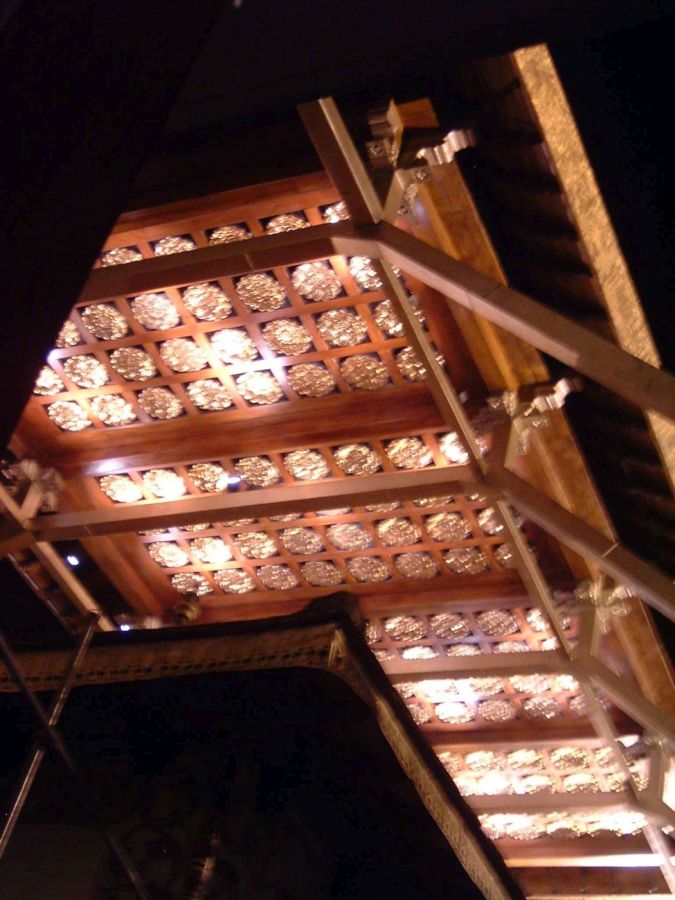 Suzanna Travels to Sri Lanka