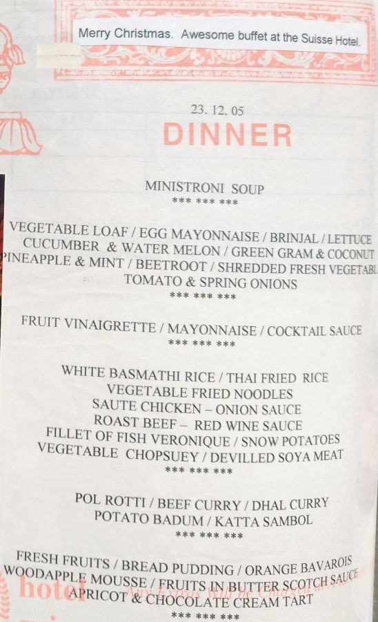 Suzanna Travels to Sri Lanka