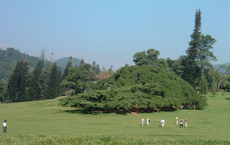 Suzanna Travels to Sri Lanka