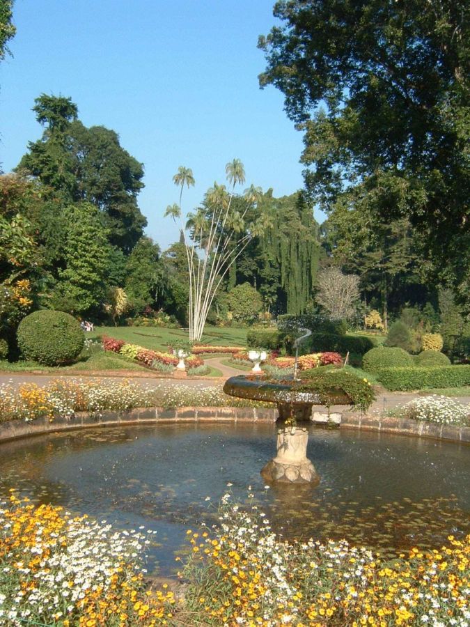 Suzanna Travels to Sri Lanka