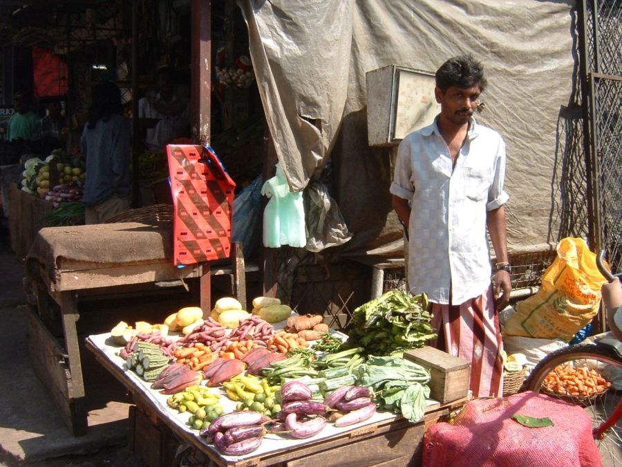 Suzanna Travels to Sri Lanka