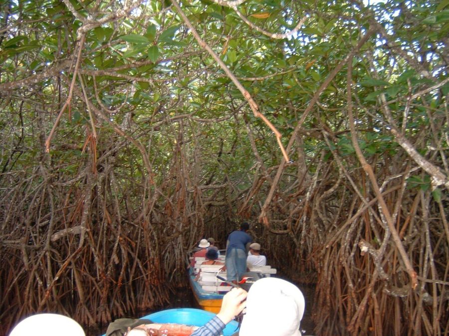 Suzanna Travels to Sri Lanka